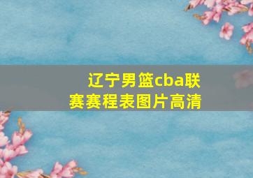 辽宁男篮cba联赛赛程表图片高清