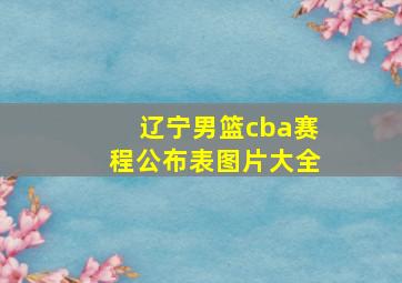 辽宁男篮cba赛程公布表图片大全