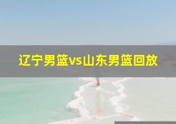 辽宁男篮vs山东男篮回放