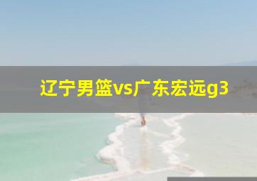 辽宁男篮vs广东宏远g3