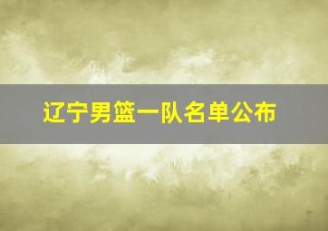 辽宁男篮一队名单公布