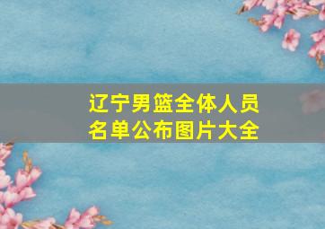 辽宁男篮全体人员名单公布图片大全