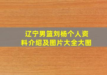 辽宁男篮刘杨个人资料介绍及图片大全大图