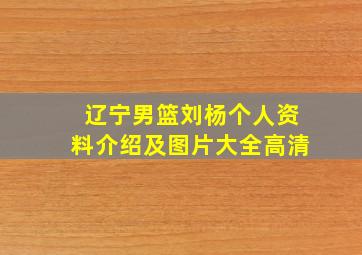 辽宁男篮刘杨个人资料介绍及图片大全高清