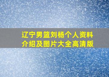 辽宁男篮刘杨个人资料介绍及图片大全高清版