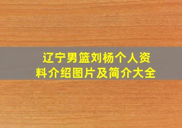 辽宁男篮刘杨个人资料介绍图片及简介大全