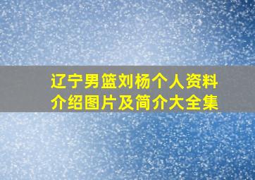 辽宁男篮刘杨个人资料介绍图片及简介大全集