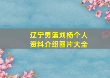 辽宁男篮刘杨个人资料介绍图片大全