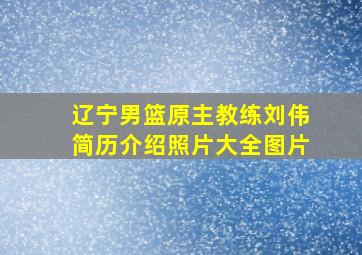 辽宁男篮原主教练刘伟简历介绍照片大全图片