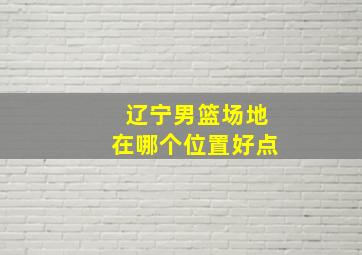 辽宁男篮场地在哪个位置好点