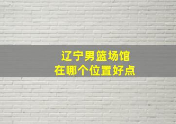 辽宁男篮场馆在哪个位置好点