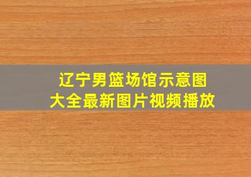 辽宁男篮场馆示意图大全最新图片视频播放