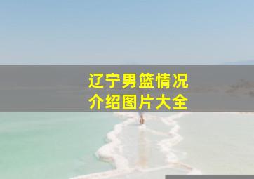 辽宁男篮情况介绍图片大全