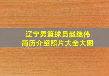 辽宁男篮球员赵继伟简历介绍照片大全大图