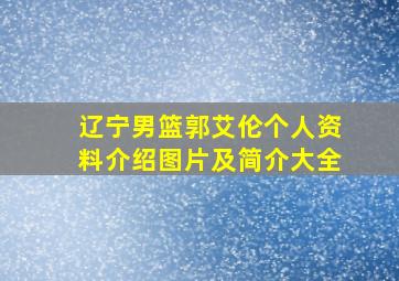 辽宁男篮郭艾伦个人资料介绍图片及简介大全