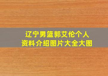 辽宁男篮郭艾伦个人资料介绍图片大全大图