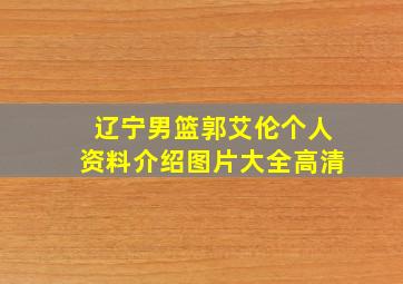 辽宁男篮郭艾伦个人资料介绍图片大全高清