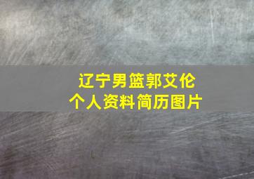 辽宁男篮郭艾伦个人资料简历图片