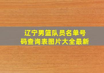 辽宁男篮队员名单号码查询表图片大全最新