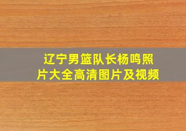 辽宁男篮队长杨鸣照片大全高清图片及视频