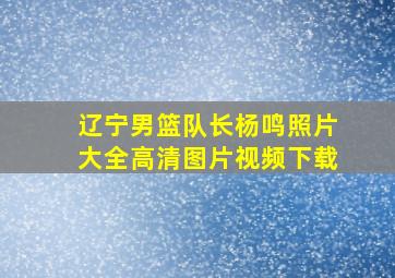 辽宁男篮队长杨鸣照片大全高清图片视频下载