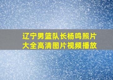 辽宁男篮队长杨鸣照片大全高清图片视频播放