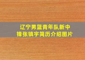 辽宁男篮青年队新中锋张镇宇简历介绍图片