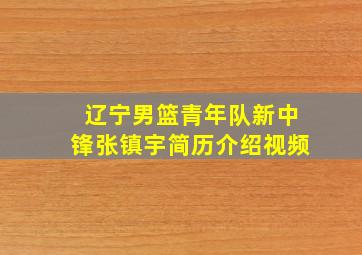 辽宁男篮青年队新中锋张镇宇简历介绍视频