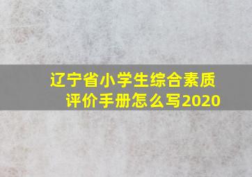 辽宁省小学生综合素质评价手册怎么写2020