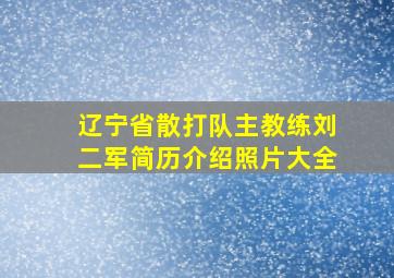 辽宁省散打队主教练刘二军简历介绍照片大全