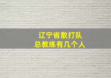 辽宁省散打队总教练有几个人