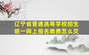 辽宁省普通高等学校招生统一网上报名缴费怎么交