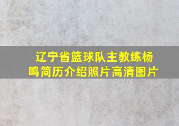 辽宁省篮球队主教练杨鸣简历介绍照片高清图片