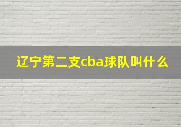 辽宁第二支cba球队叫什么