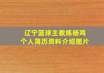 辽宁篮球主教练杨鸣个人简历资料介绍图片