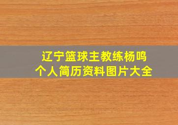 辽宁篮球主教练杨鸣个人简历资料图片大全