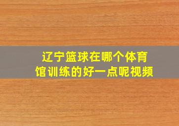 辽宁篮球在哪个体育馆训练的好一点呢视频