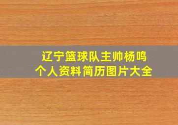 辽宁篮球队主帅杨鸣个人资料简历图片大全