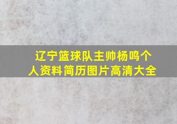 辽宁篮球队主帅杨鸣个人资料简历图片高清大全