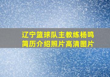 辽宁篮球队主教练杨鸣简历介绍照片高清图片