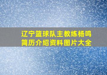 辽宁篮球队主教练杨鸣简历介绍资料图片大全