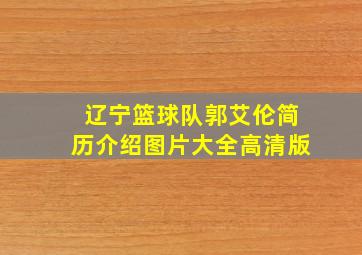 辽宁篮球队郭艾伦简历介绍图片大全高清版