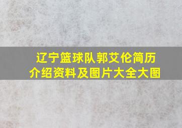 辽宁篮球队郭艾伦简历介绍资料及图片大全大图