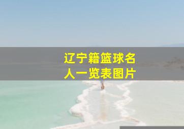 辽宁籍篮球名人一览表图片