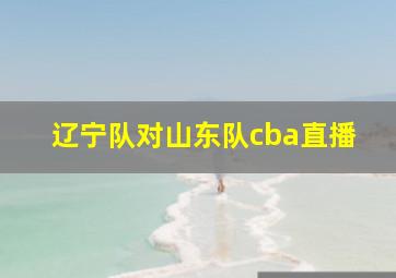 辽宁队对山东队cba直播