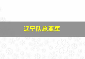 辽宁队总亚军