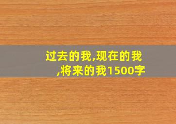 过去的我,现在的我,将来的我1500字