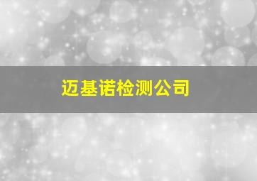 迈基诺检测公司