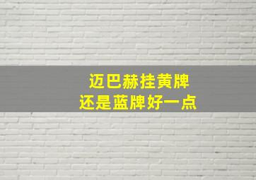 迈巴赫挂黄牌还是蓝牌好一点