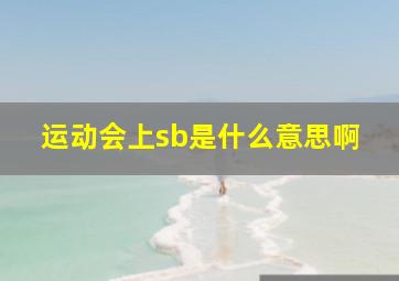 运动会上sb是什么意思啊